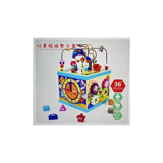 Wooden Educational Cube Sorter Animals Maze Gears