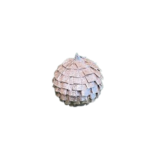 Christmas Ball 12cm
