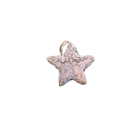 Christmas Star