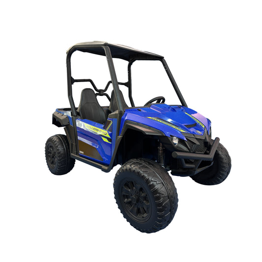 Buggy Car 2 Seats electric vehicle