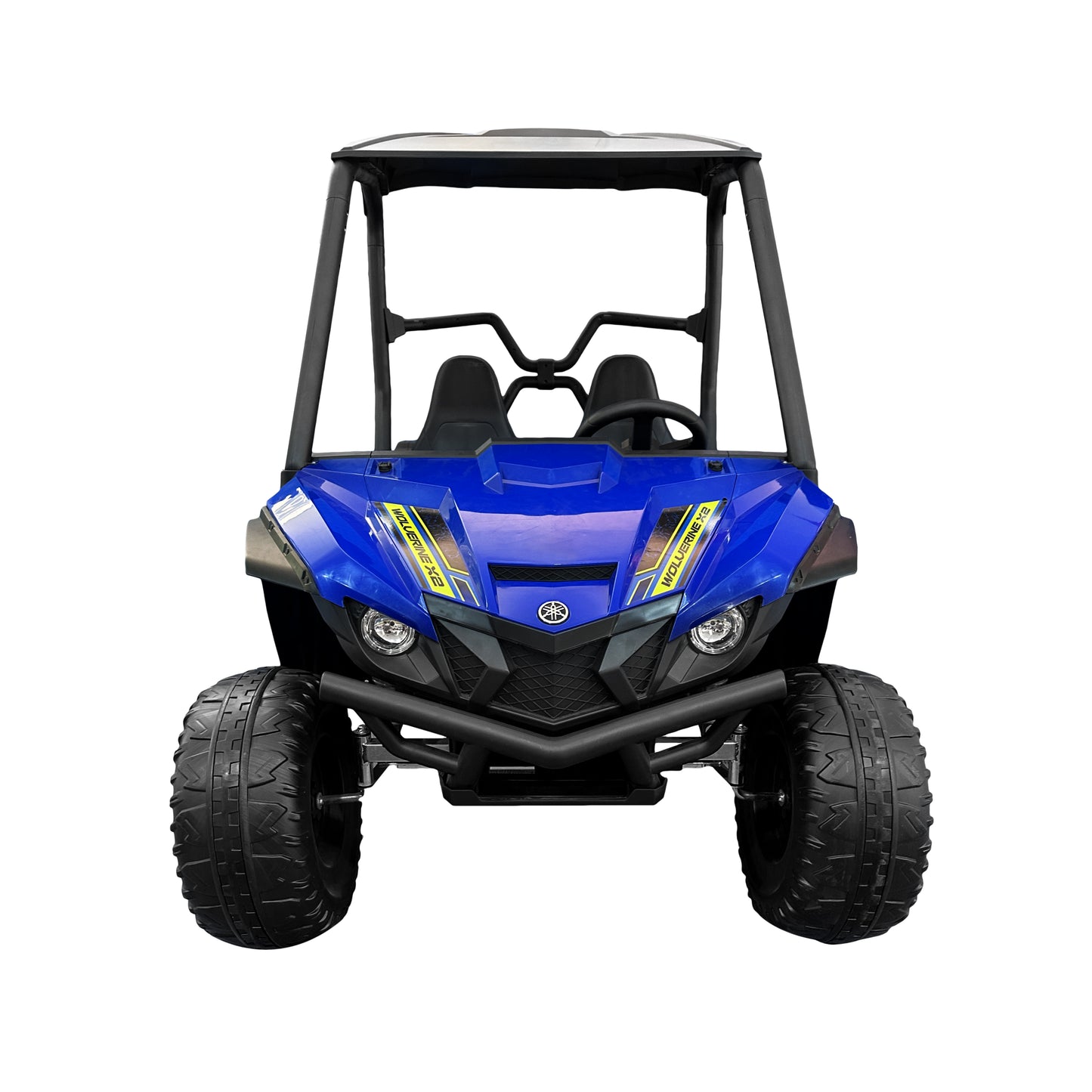 Buggy Car 2 Seats electric vehicle