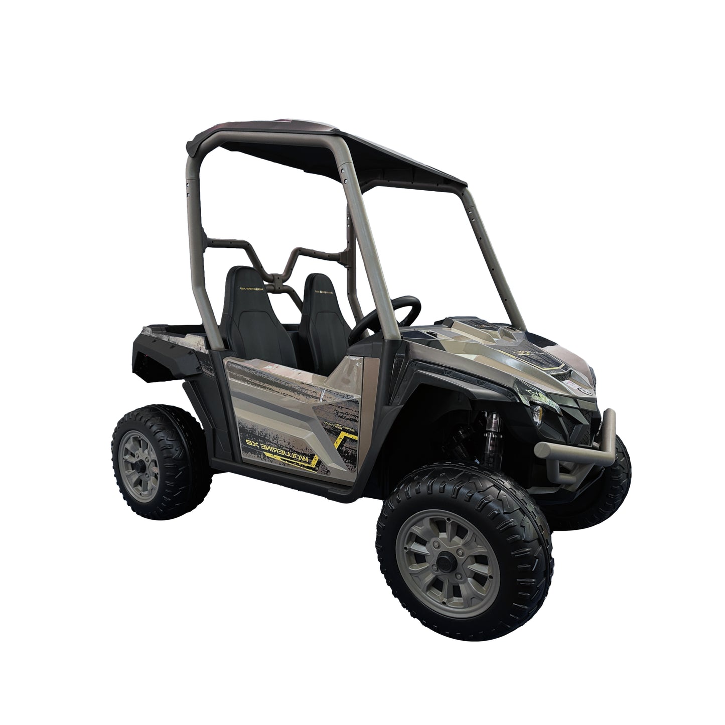 Buggy Car 2 Seats electric vehicle