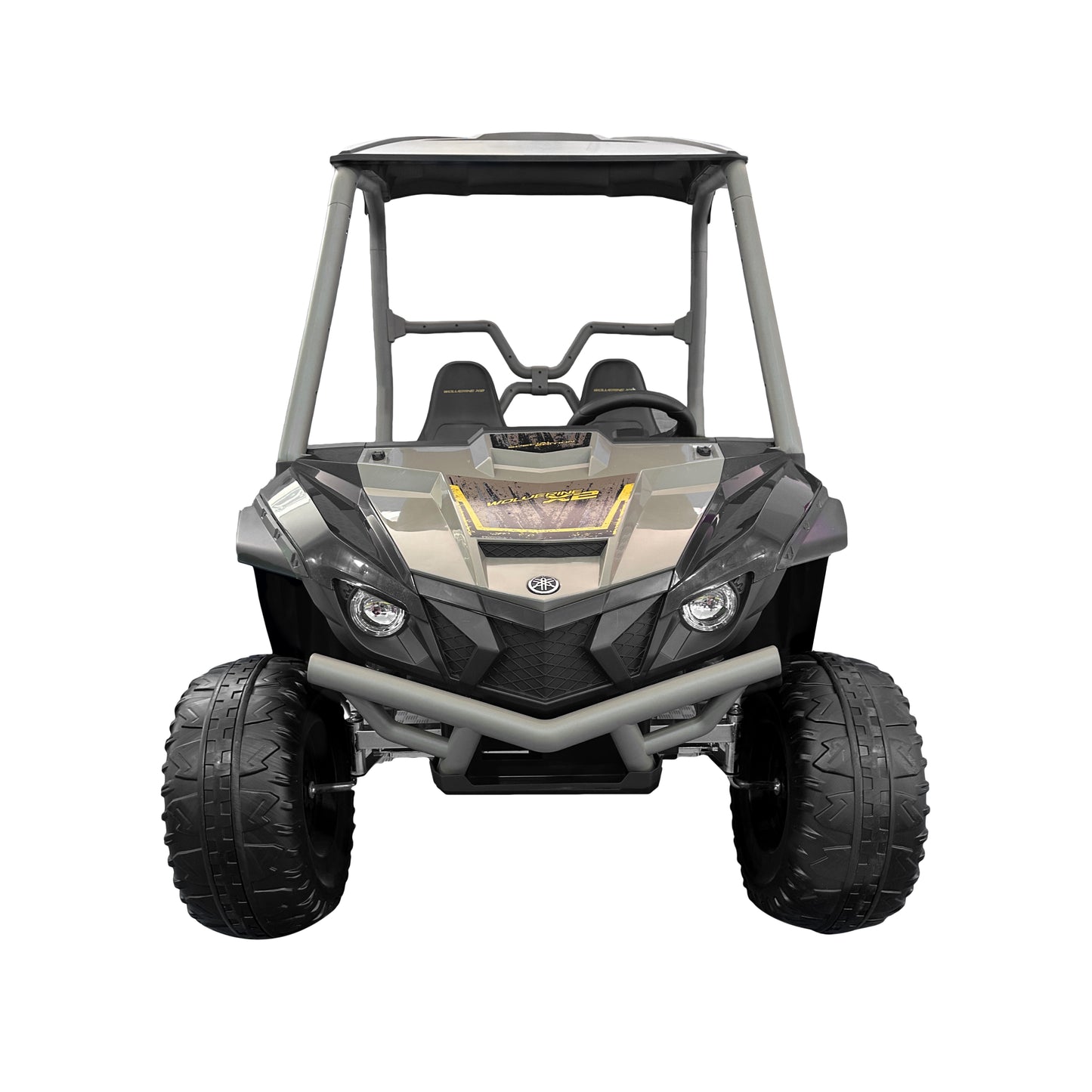 Buggy Car 2 Seats electric vehicle