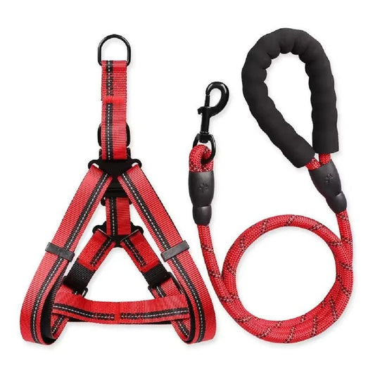 Pet leashes with harness - 180cm