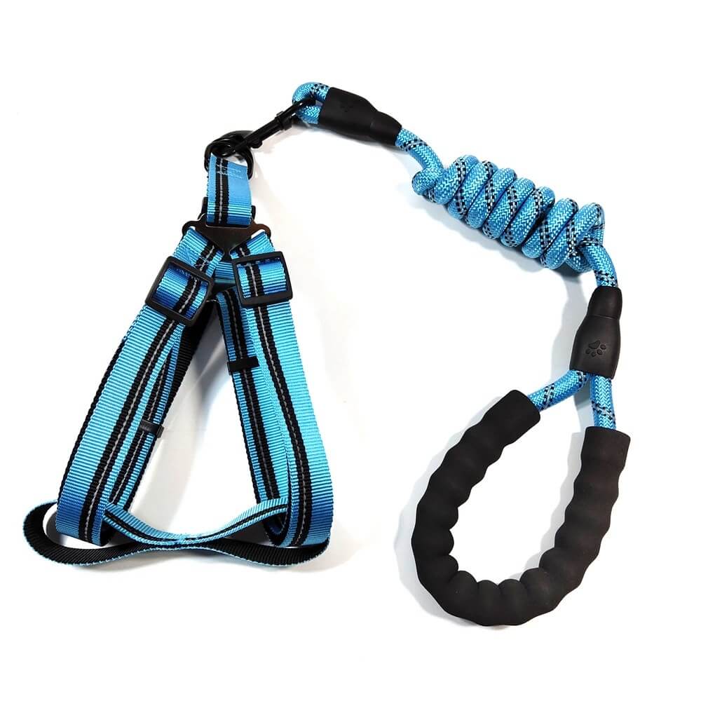 Pet leashes with harness - 180cm