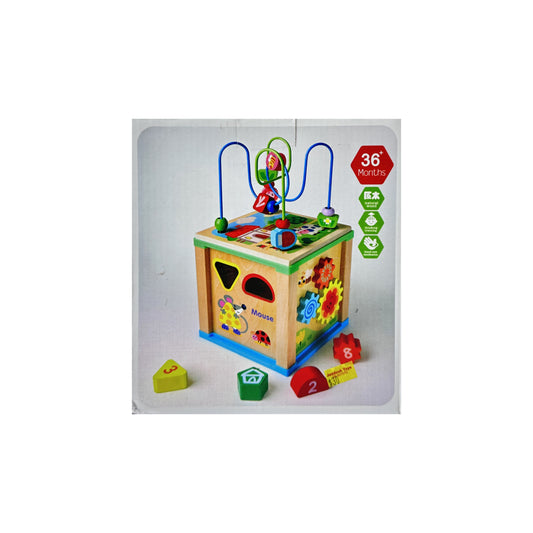 Wooden Activity Cube Toys 6 in 1