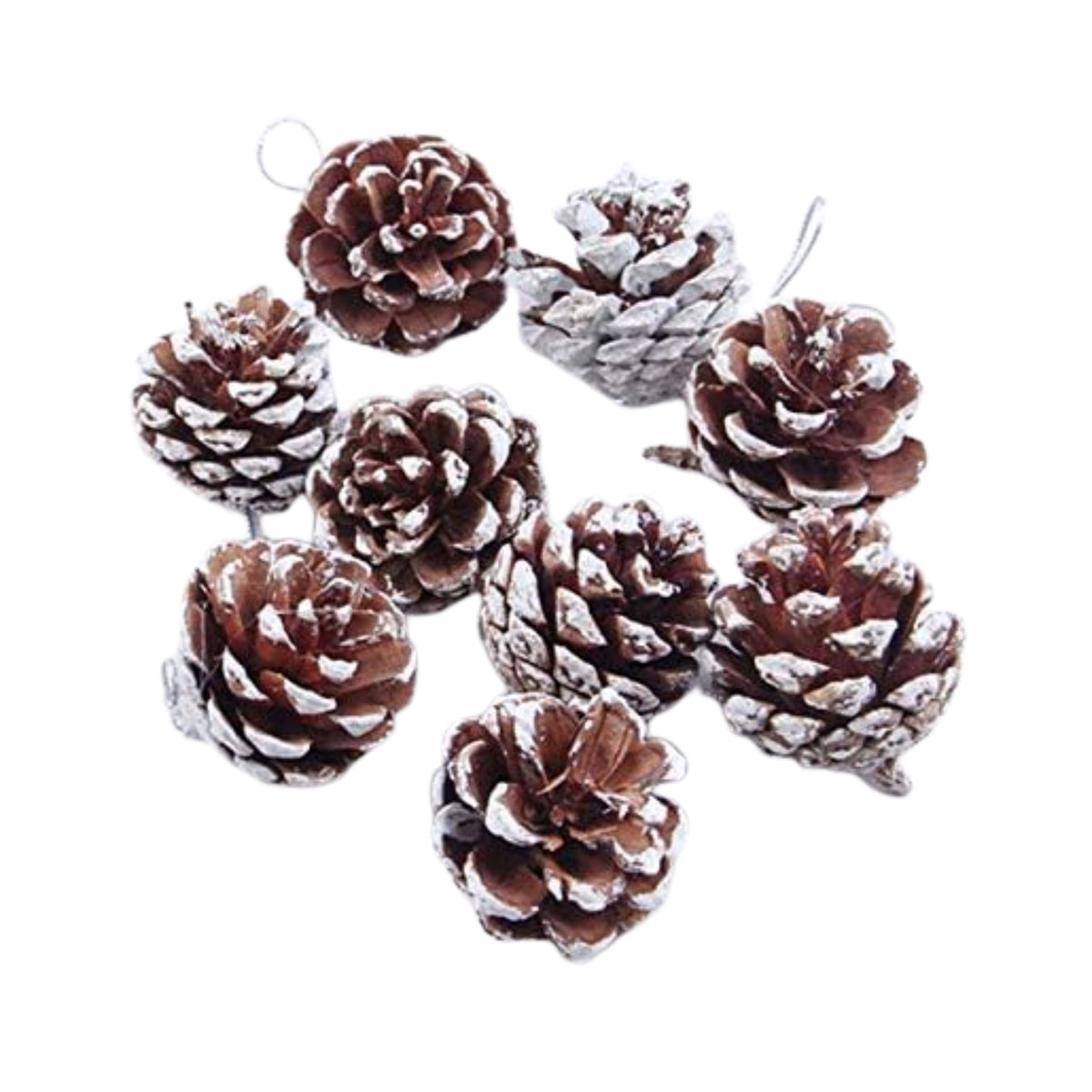 christmas pine cones - 5cm