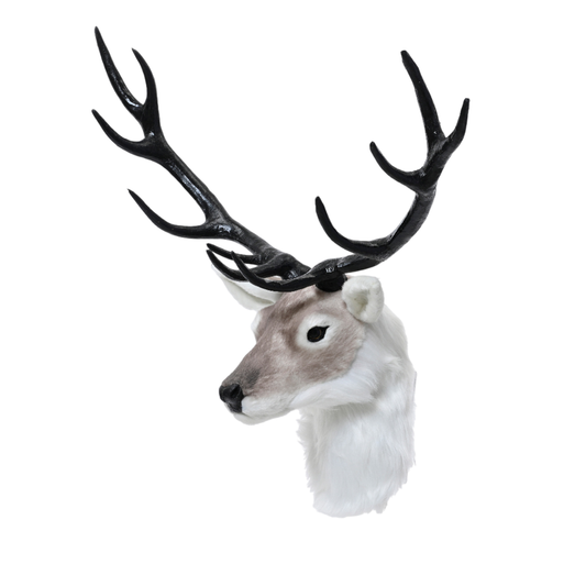 White deer head with fur