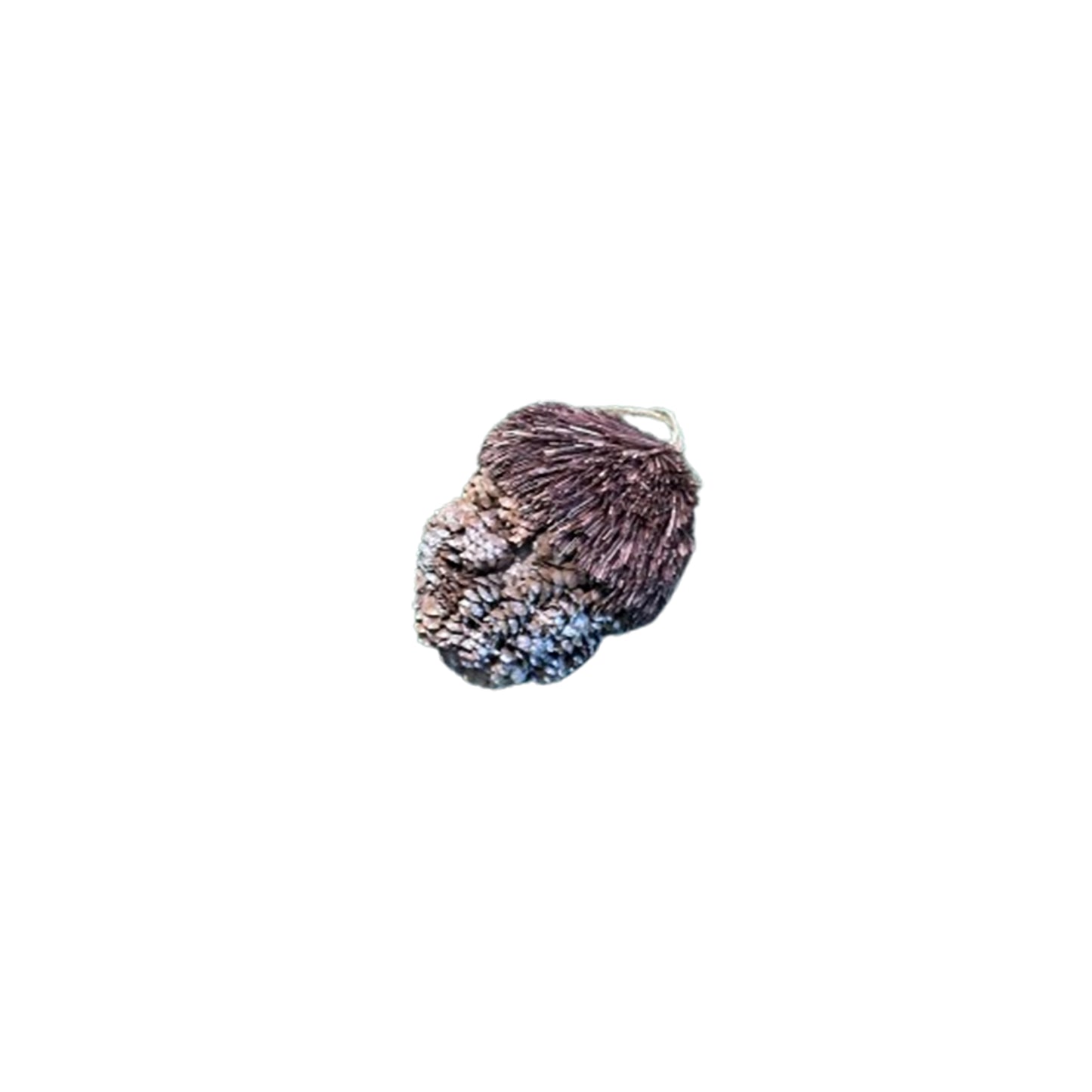 Hanger brown corn 12 cm